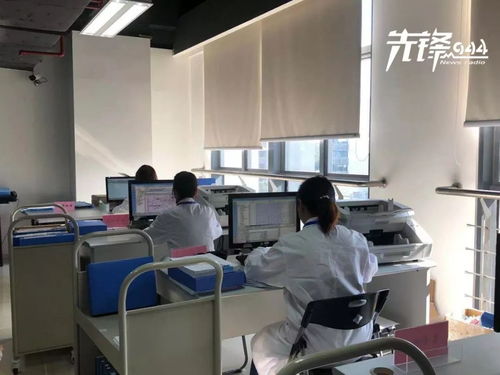 檔案是什么，又應該如何保存？福州市檔案局給你答案——承接檔案服務外包須知