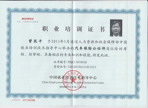 貴州國正二手車鑒定評估 人民法院訴訟中的專業(yè)角色與重要性